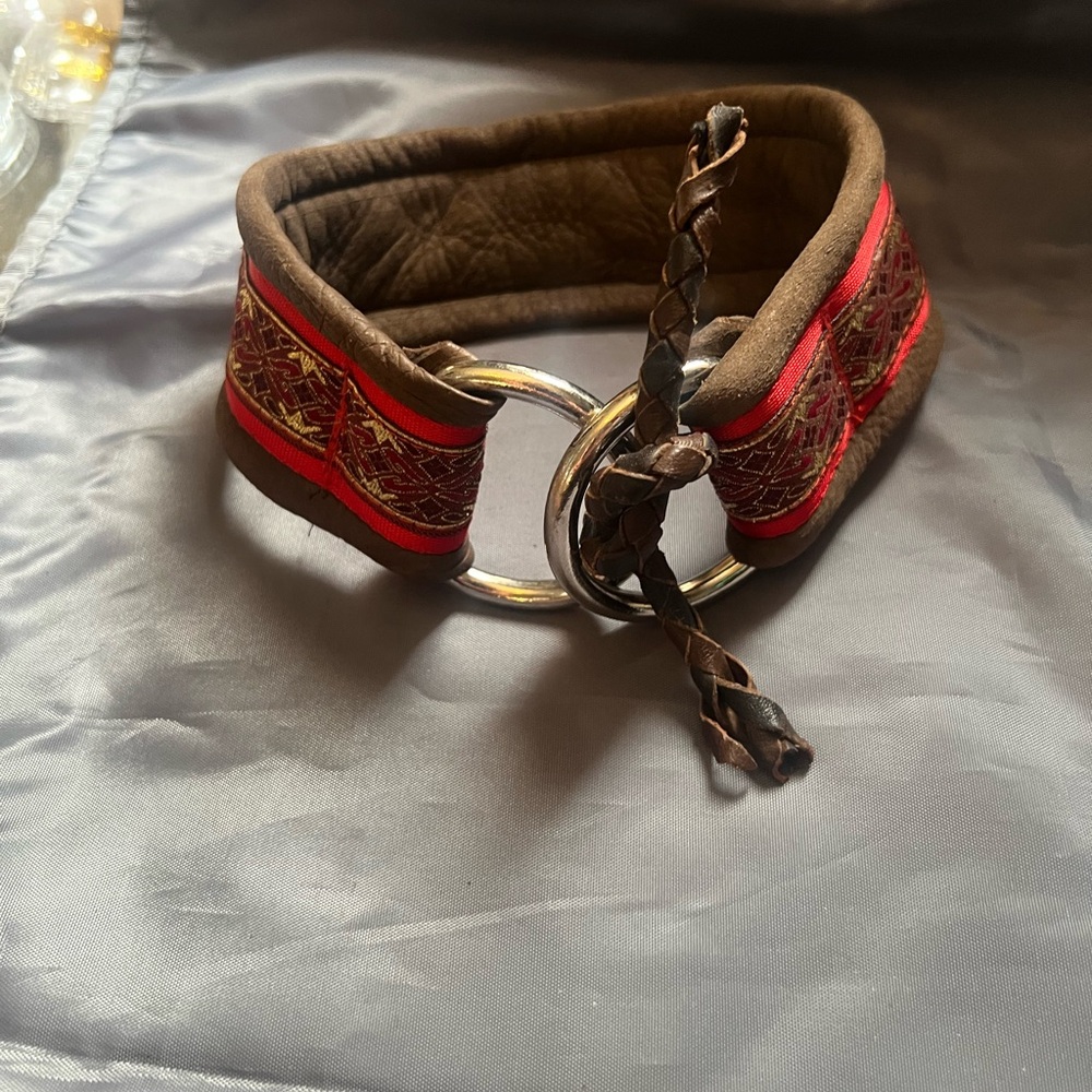Brown and Red Dog Collar with Decorative Charm
